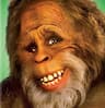 BigFoot BBQ